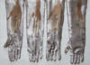 My Fingers Grasp at Floating Feathers